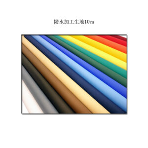 hassui-r2100-1_rtt